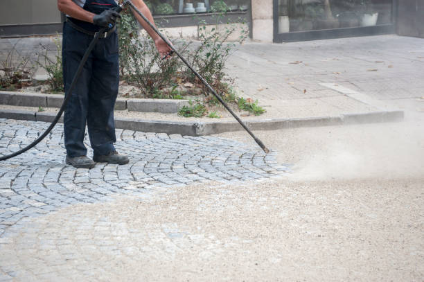 Best Building Exterior Pressure Washing in Topaz Ranch Estates, NV
